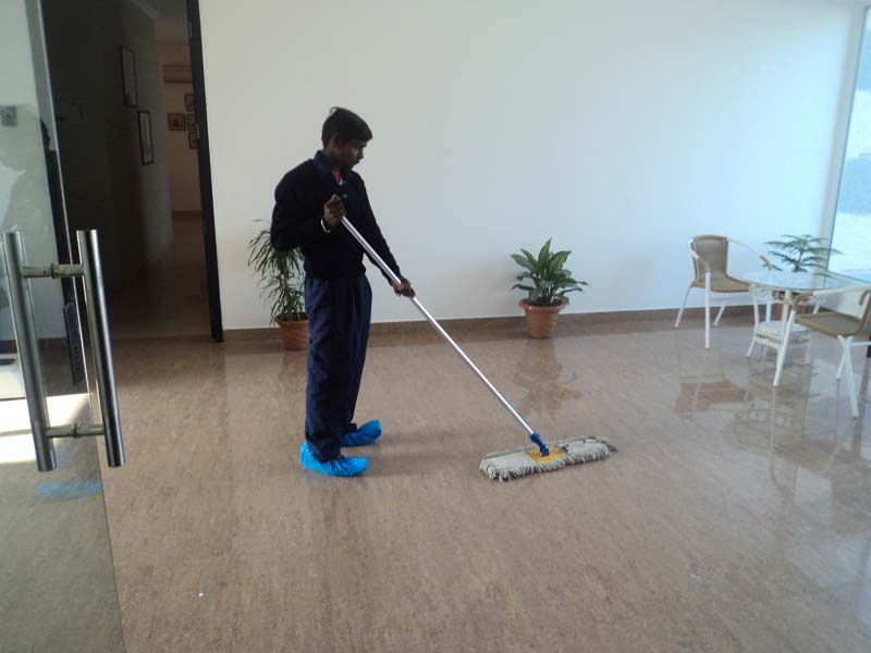 Move In-Out Cleaning Services